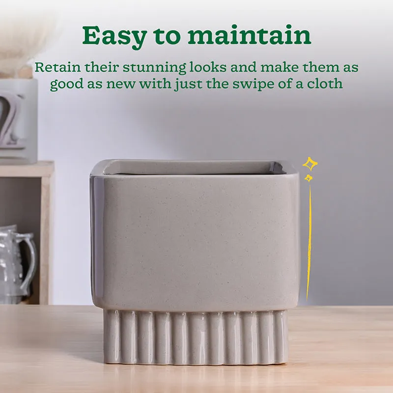 Ugaoo Sleepy Sprout Square Ceramic Planter - Light Grey media 5