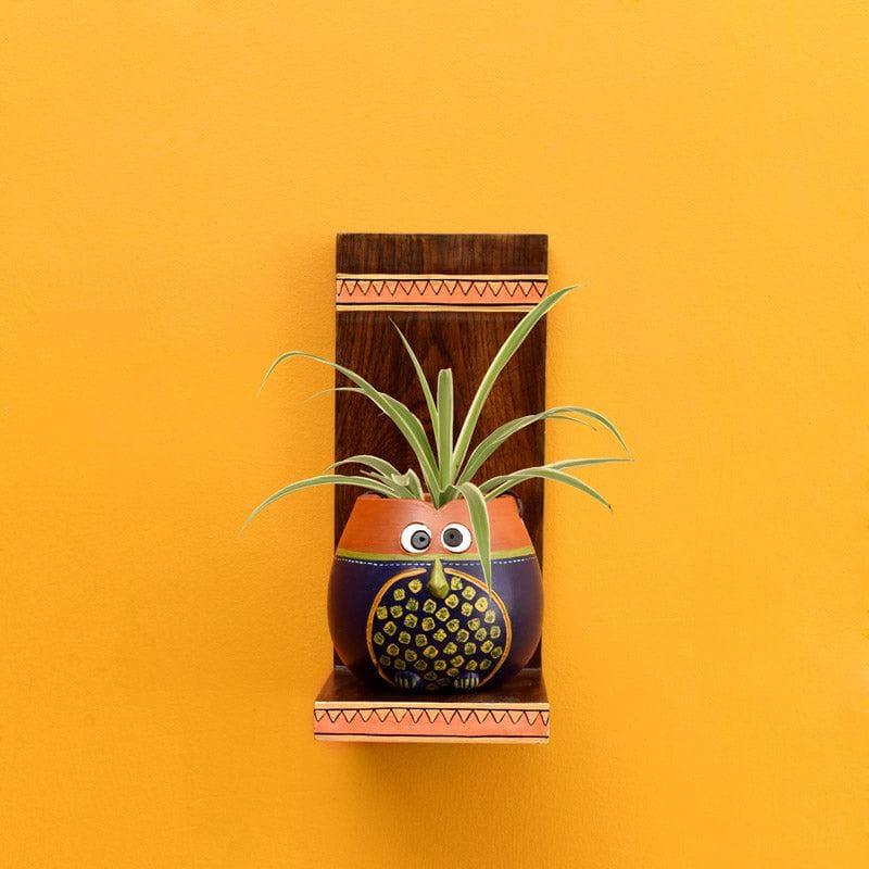 Terracotta · Wood