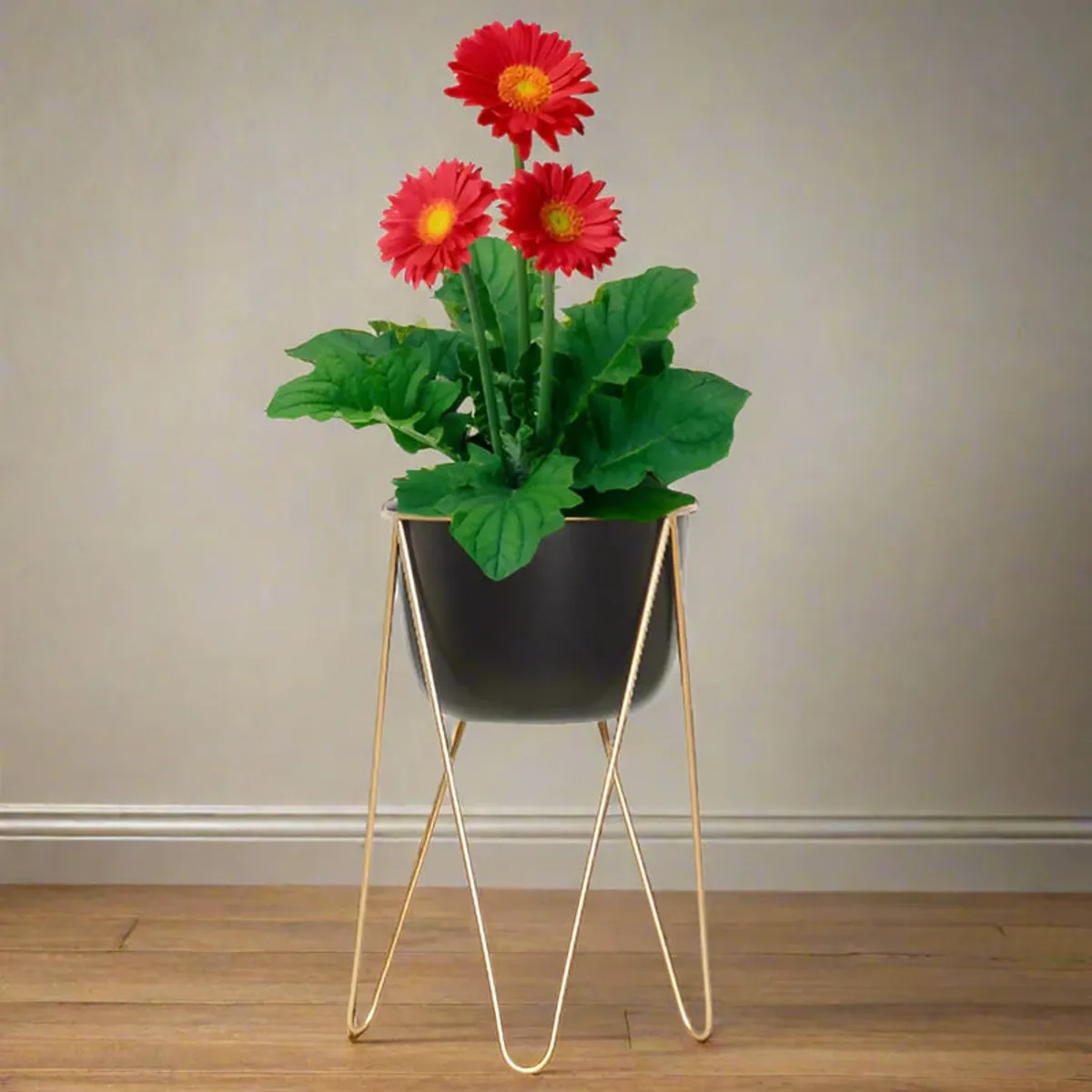 Single black planter on a gold stand with flowers displayed indoors