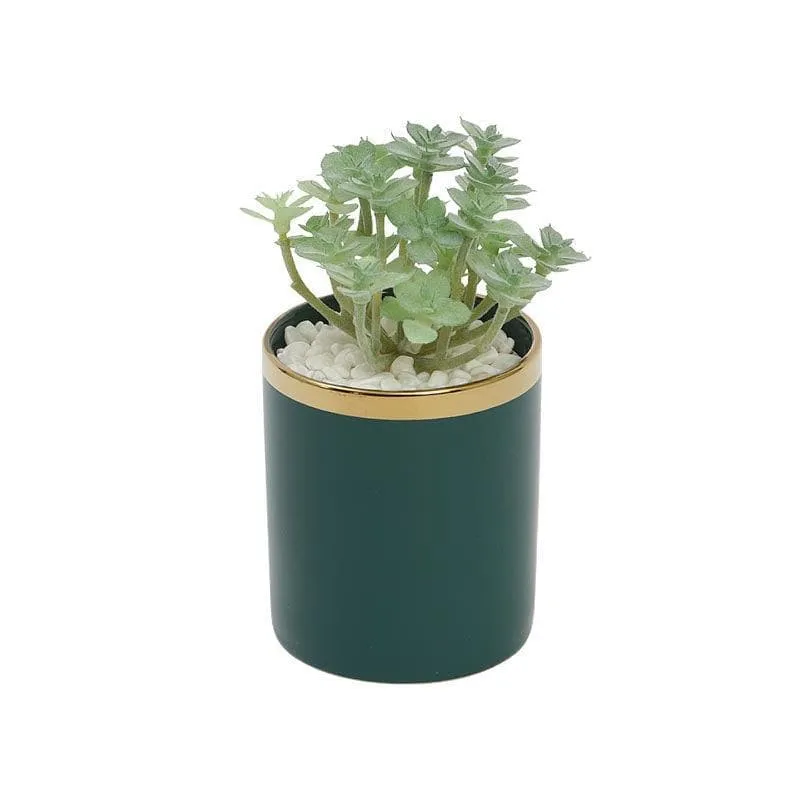 Faux Crassula In Blue Ceramic Pot - 20 cms media 3