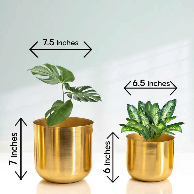 Luxe Glow Planter (Gold) - Set Of Two media 5