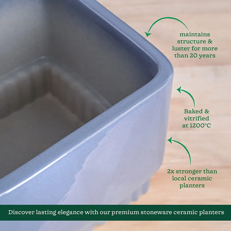 Ugaoo Sleepy Sprout Square Ceramic Planter - Dark Grey media 6