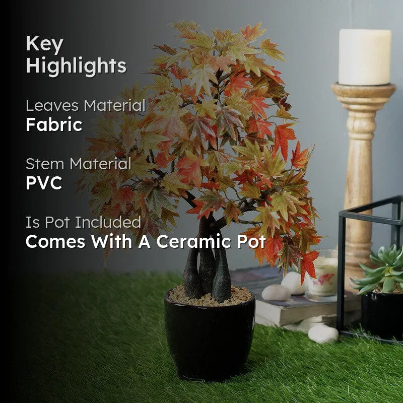 Artificial Multicolor Maple Bonsai Plant With Ceramic Pot - 1.3 Feet media 2