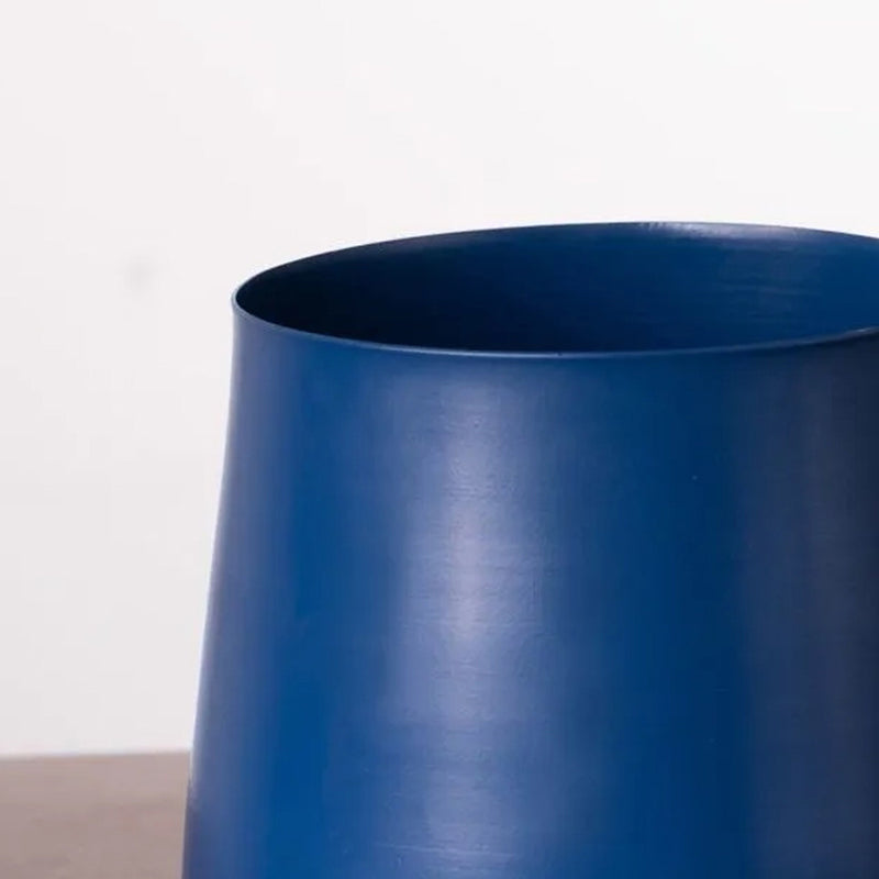 Kyari Abelard Lucky Jade Plant With Blue Metal Pot media 5
