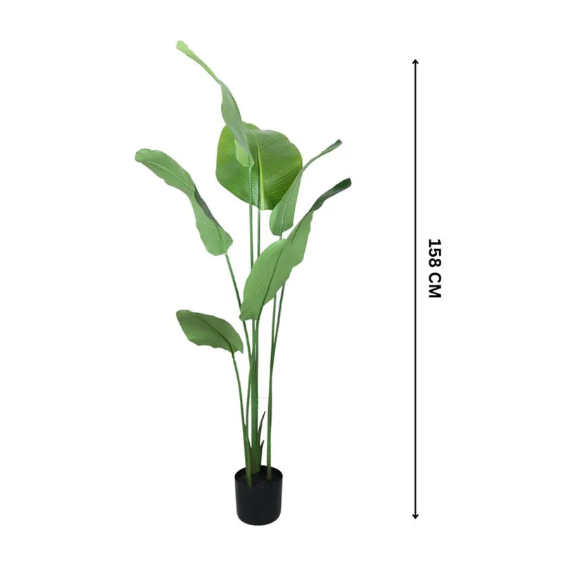 Paradise Artificial Plant With Black Fiber Pot - 5.2 Feet media 6