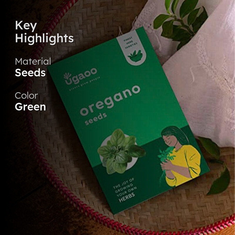 Ugaoo Oregano Green Herb Seeds media 2