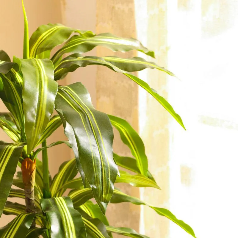 Artificial Realistic Dracaena Plant With Black Plastic Pot - 3.9 Feet media 6