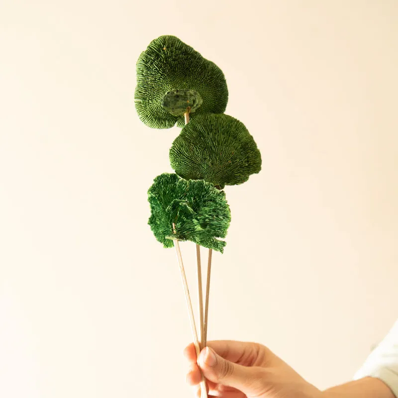 Sponge Mushroom Bunch (Green)  - Set Of Five media 3
