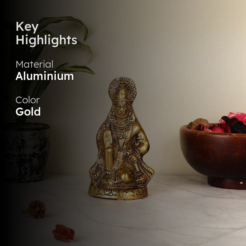Anjaneya Divinity Idol media 2