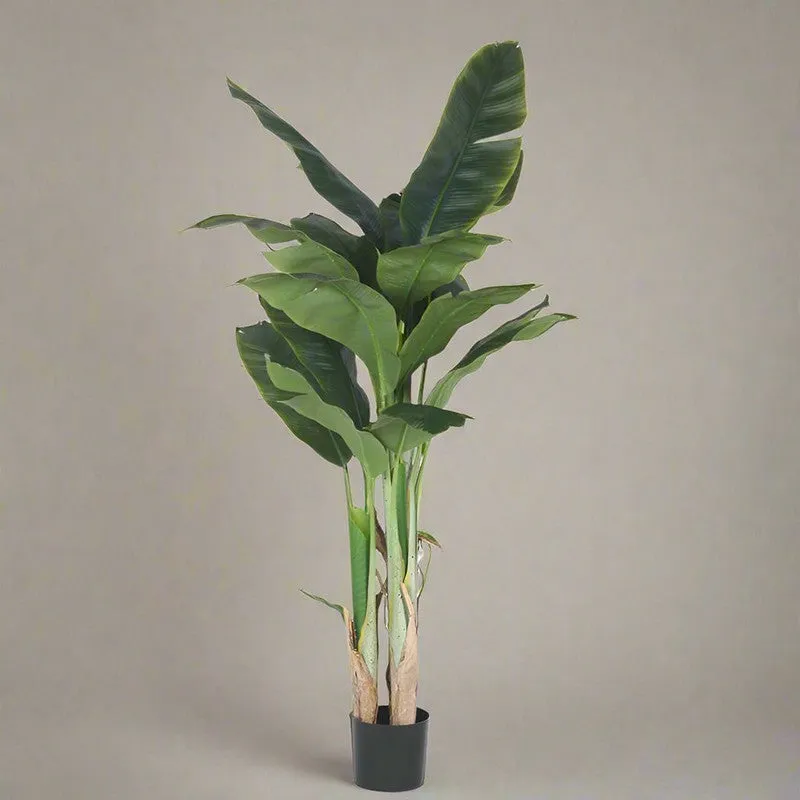 Faux Realtouch Banana Plant With Black Plastic Pot - 5.9 Feet media 3