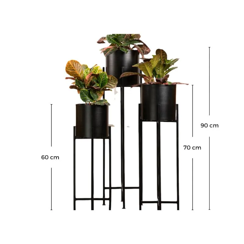 Cyra Black Metal Planters - Set Of Three media 4