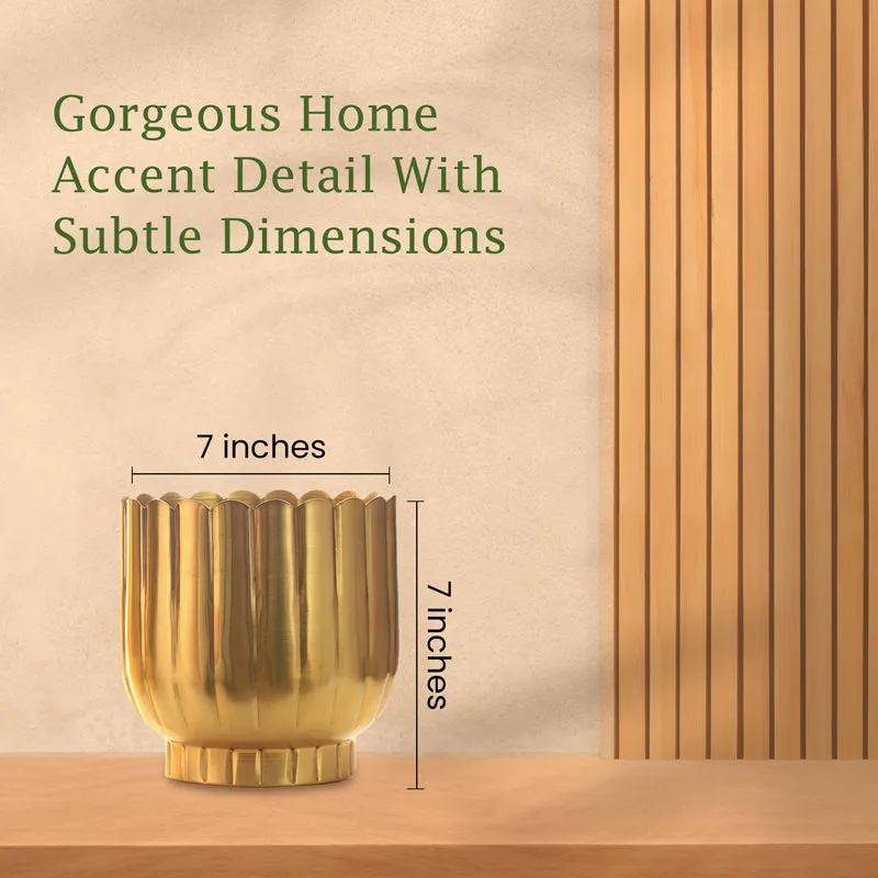 Cosie Coral Planter (Gold) media 6