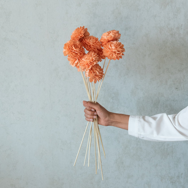 Dried Flowers & Leaves