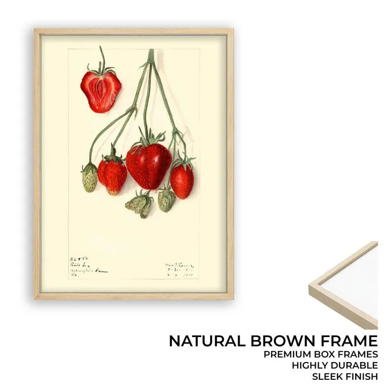 Juicy Harmony Archival Canvas Wall Art - Brown media 9
