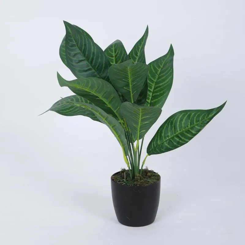 Faux Green Croton Plant With Black Plastic Pot (50 cms) - Set Of Two media 4