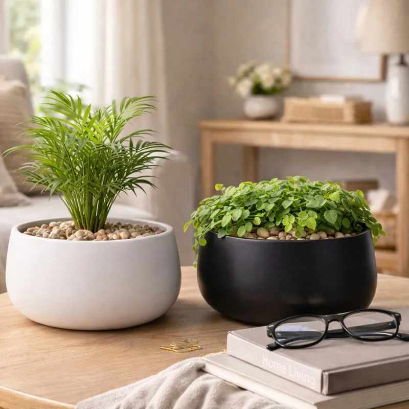 MinimalAura Pots & Planters (White, Black) - Set of Two media 6