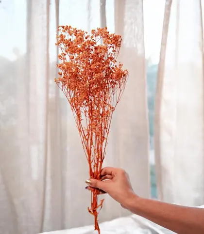Dried Flowers & Leaves