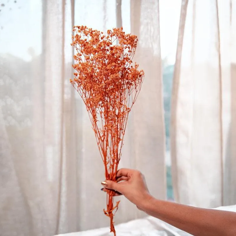 Naturally Dried Baby Breath Gypsophila Stems (Orange) - Set Of Five media 1