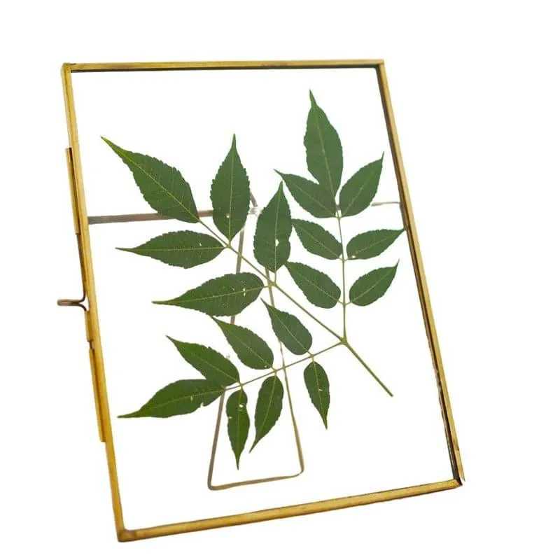 Octo Table Photo Frame media 3