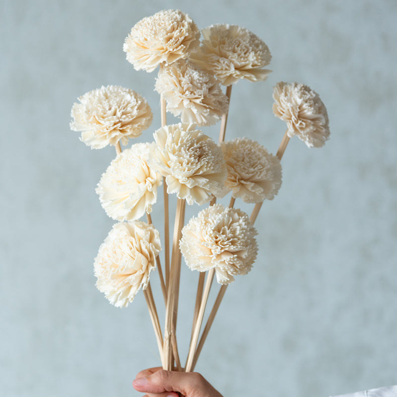 Berta Carnation Sola Flower Stick (White) - Set Of Ten media 3