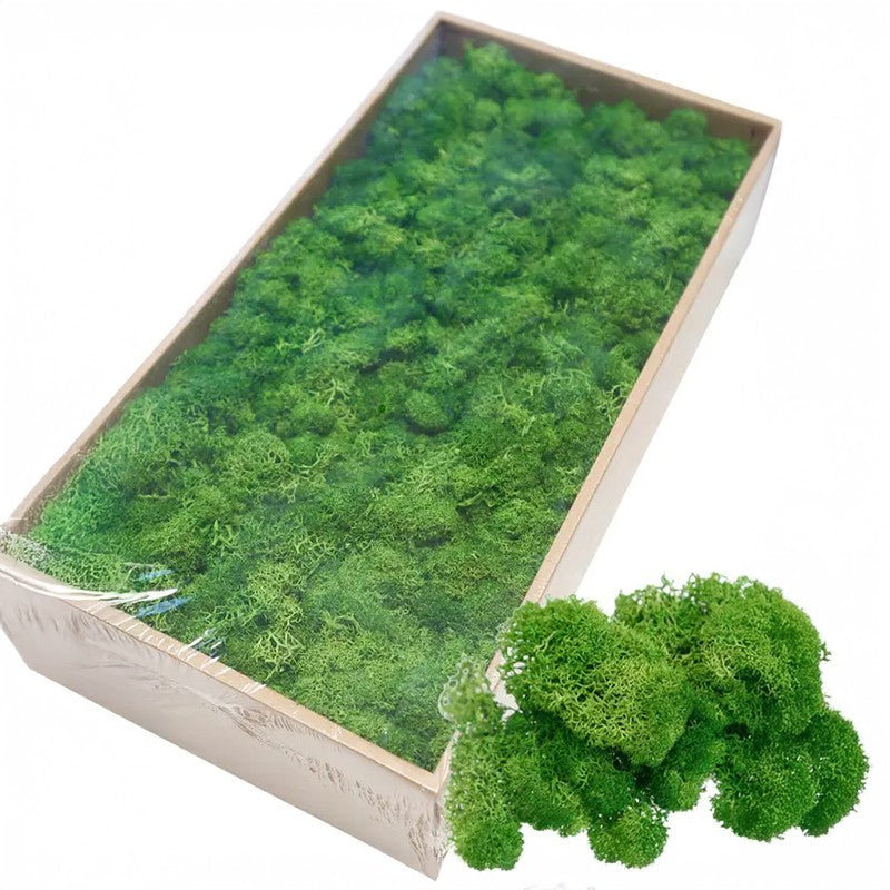 Vibrant Artificial Moss Bunch media 7