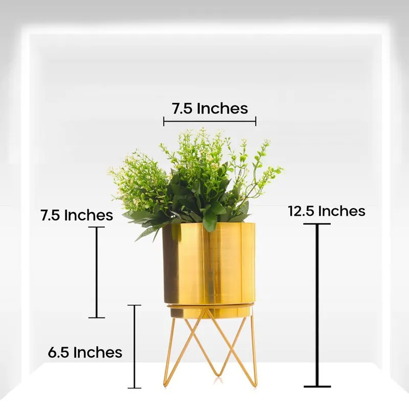 Teodora Planter - Gold media 6