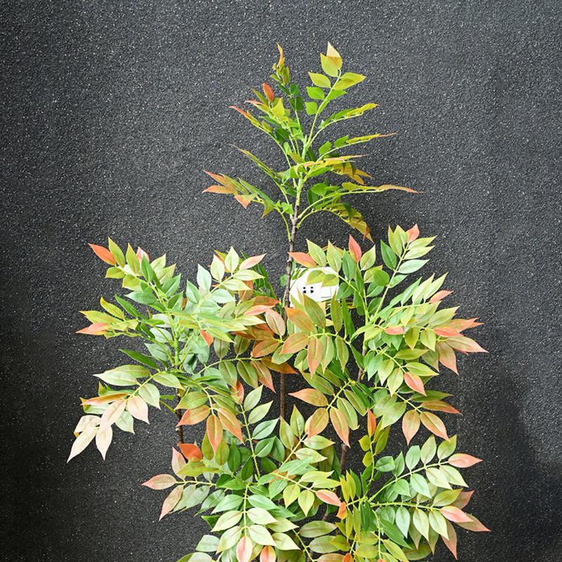Sumaura Artificial Autumn Sumac Tree With Black Plastic Pot - 160 cm (5.2 ft) media 6