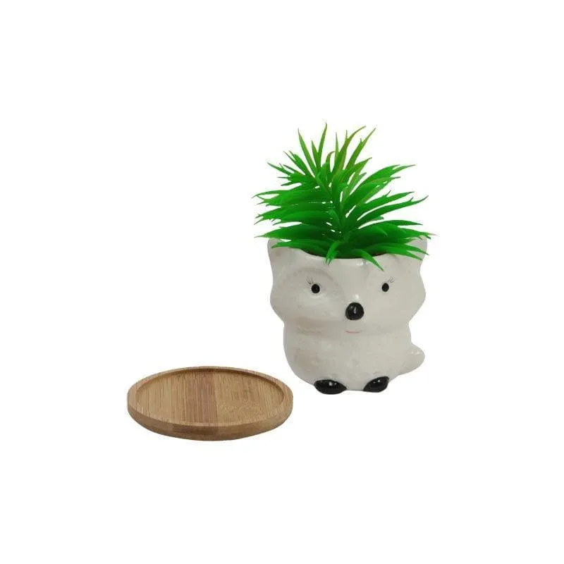 Faux Senecio In Foxy Face Pot - 13 cms media 4