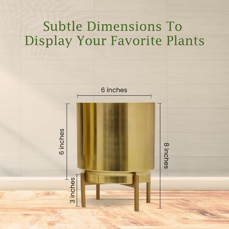 Root Rise Ember Golden Planter With Stand media 3