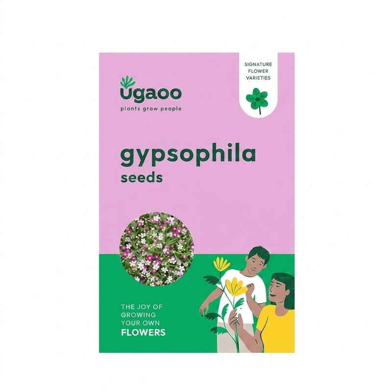 Ugaoo Gypsophila Seeds (200 Seeds) media 5
