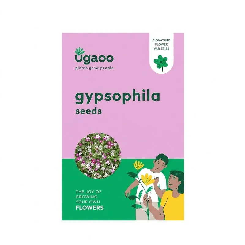 Ugaoo Gypsophila Seeds (200 Seeds) media 5