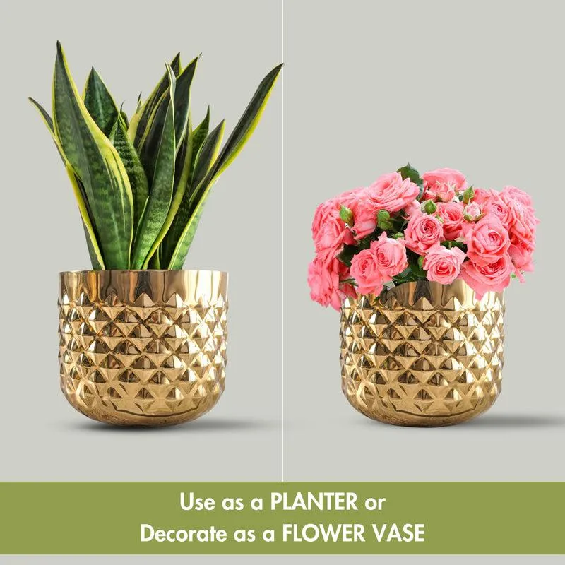 Pineapple Bite Planter - Set Of Two media 5