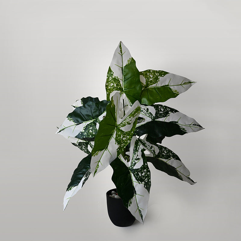 Faux Everlasting Infinity Caladium Plant With Black Plastic Pot - 79 cm (2.6 ft) media 4