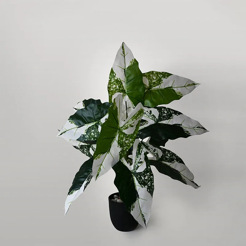 Faux Everlasting Infinity Caladium Plant With Black Plastic Pot - 79 cm (2.6 ft) media 4