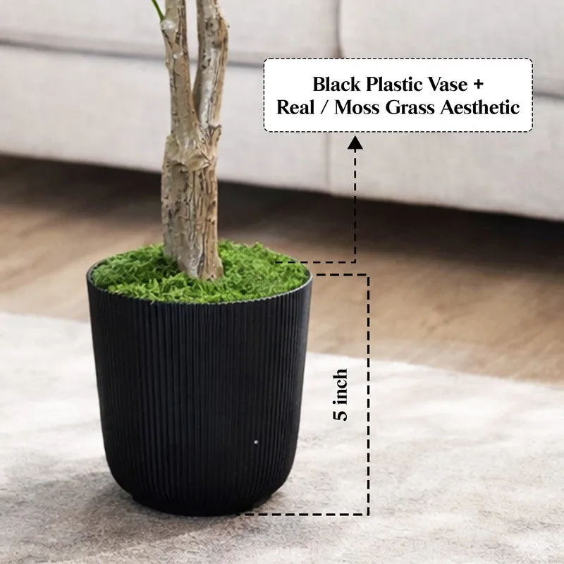 Green Nest Olive Artificial Plant With Black Plastic Pot - 152 cm (5 ft) media 6