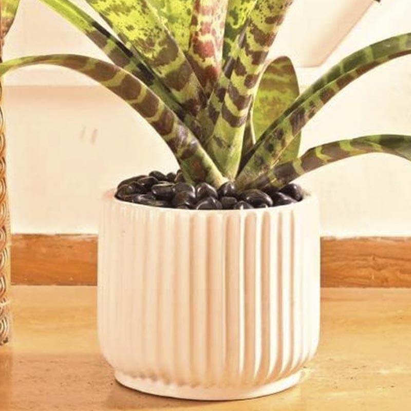 Ugaoo Phoenix Ceramic Pot (25 CM) - White media 4