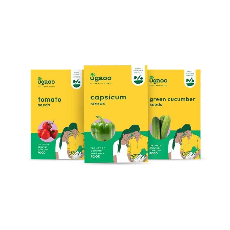 Ugaoo Veges Seeds (Capsicum, Tomato, Green Cucumber) - Set Of Three media 3