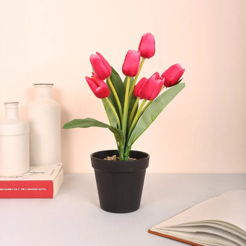Artificial Tulip Flower Plant With Black Plastic Pot - Dark Pink media 3