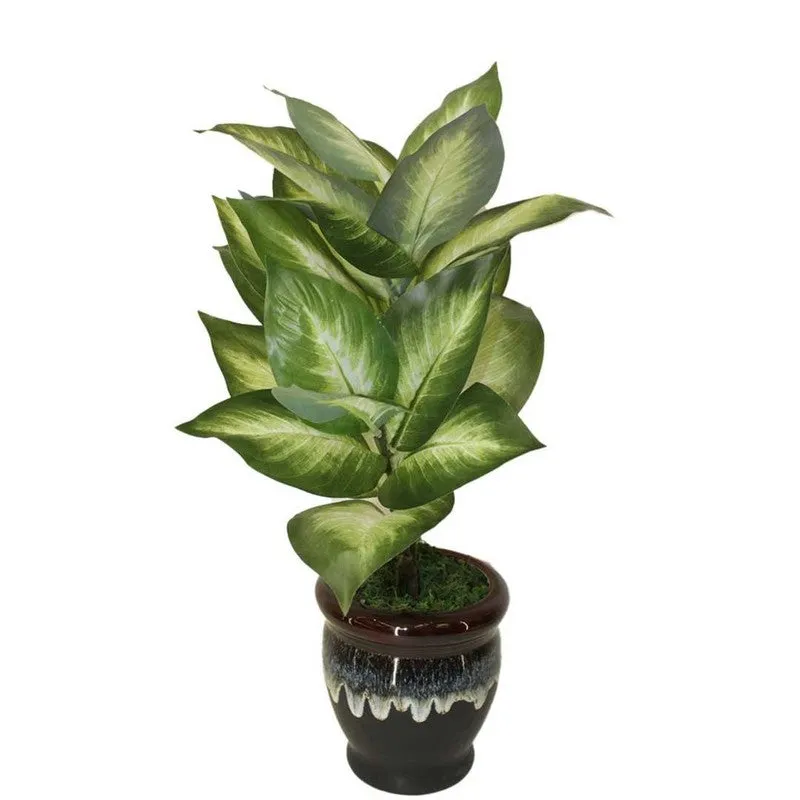 Artificial Golden Dieffenbachia Plant Without Pot - 2 Feet media 6