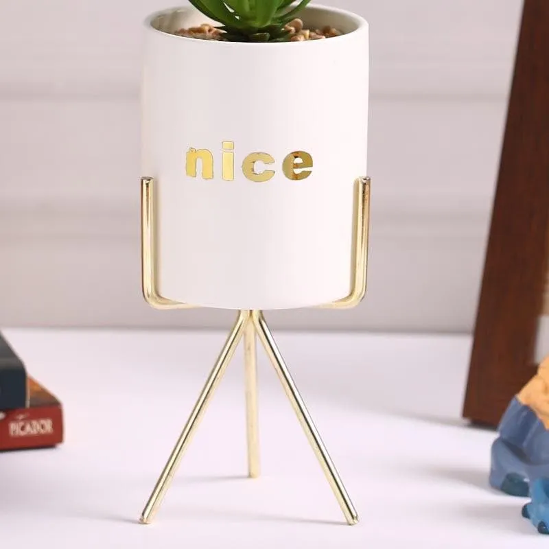 Faux Aloe Vera In White Pot With Tripod (27.5 cms) - Small media 4