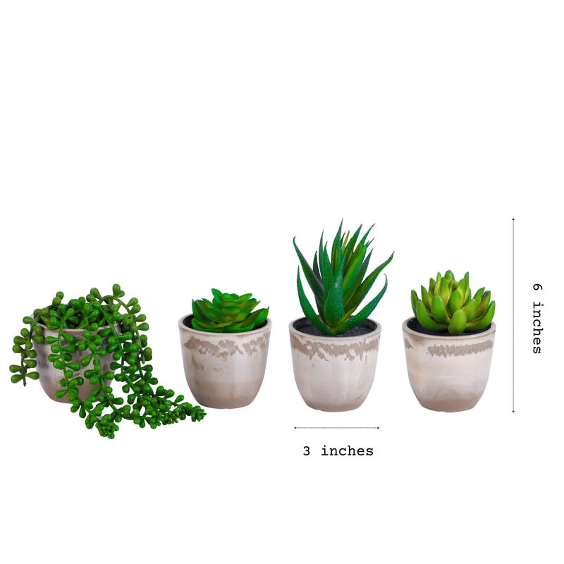 Artificial Mini Succulent With Black Plastic Pot (Set Of Four) media 7