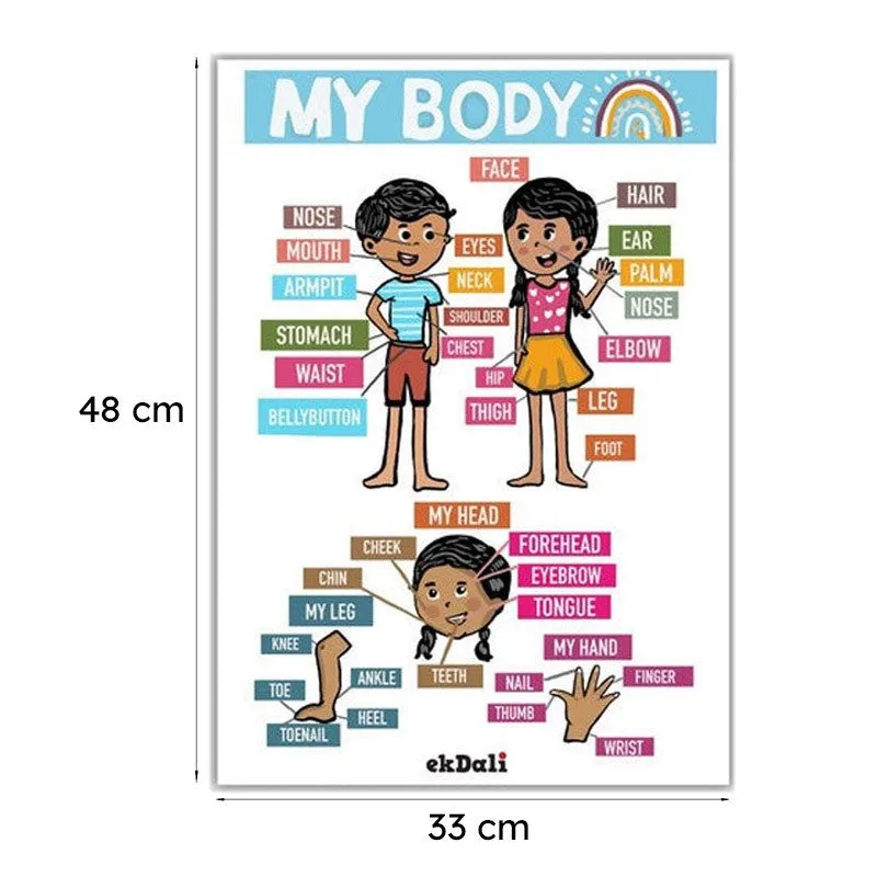 Fun Learn Wall Poster - Set of Eight media 6