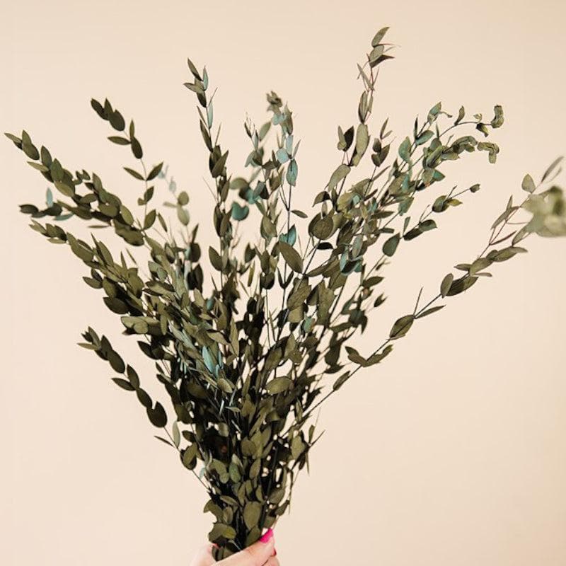 Dried Flowers & Leaves