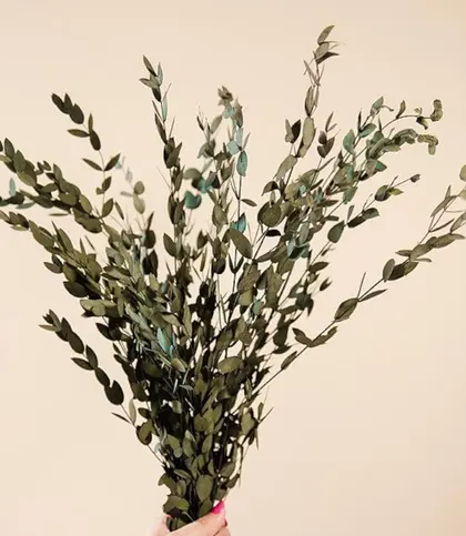 Dried Flowers & Leaves