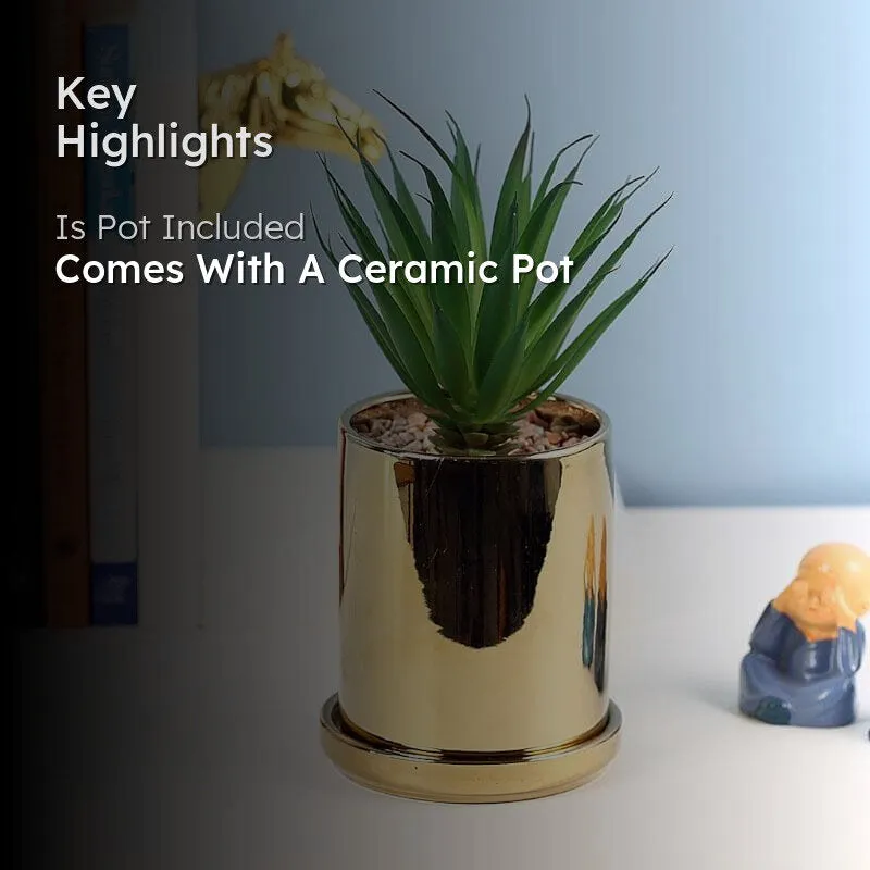 Faux Aloe Vera In Pot With Coaster (20 cms) - Big media 2