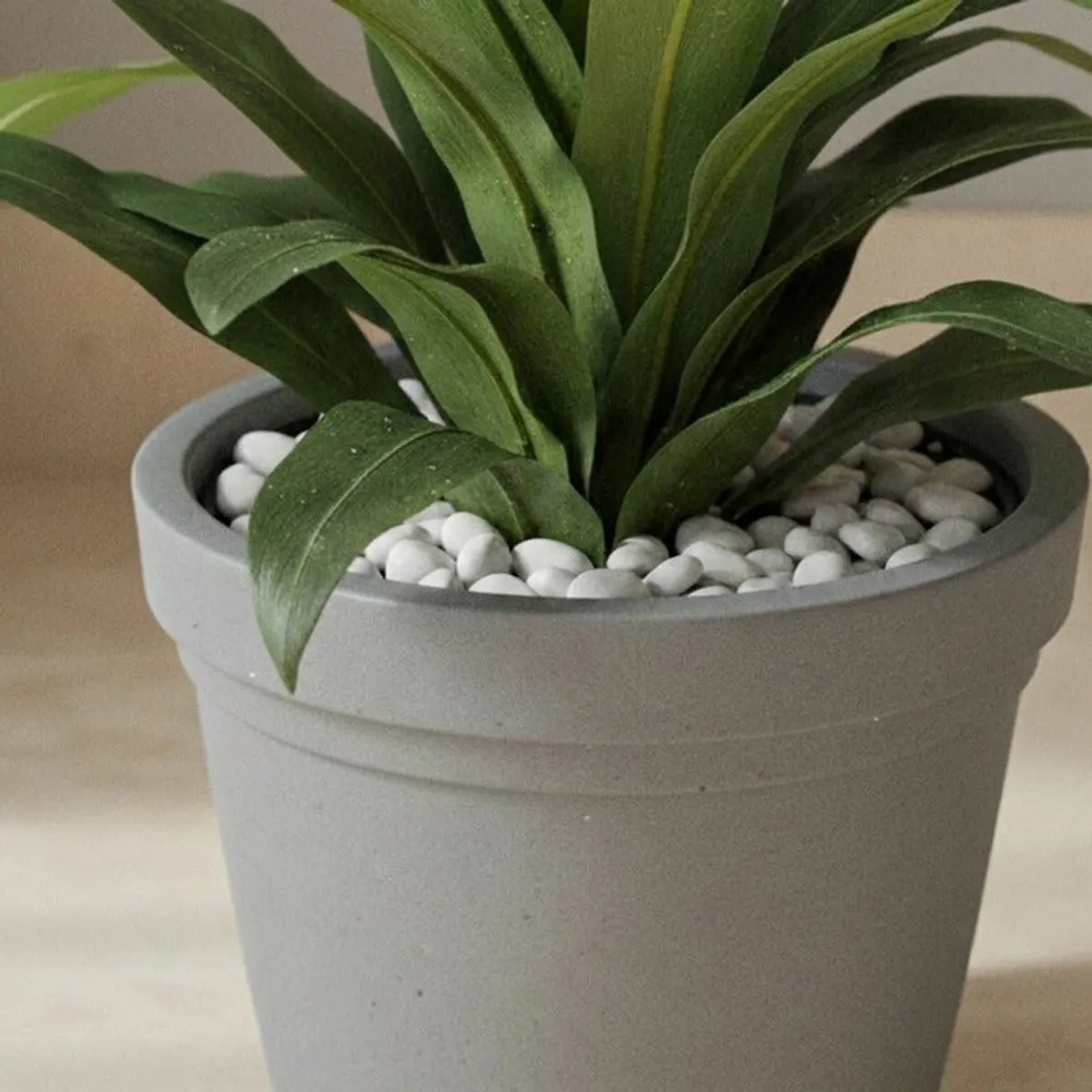 Close-up of a grey planter rim filled with white decorative stones and green leaves.