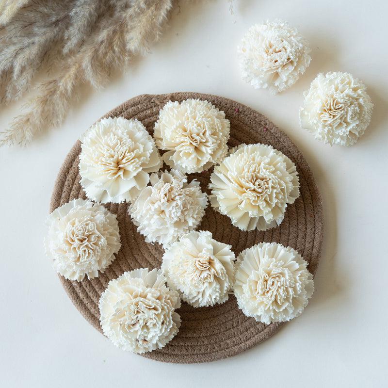 Berta Carnation Sola Flower (White) - Set Of Ten