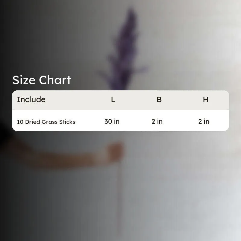 Sittora Pampas Stick (Lavender) - Set Of Ten media 6