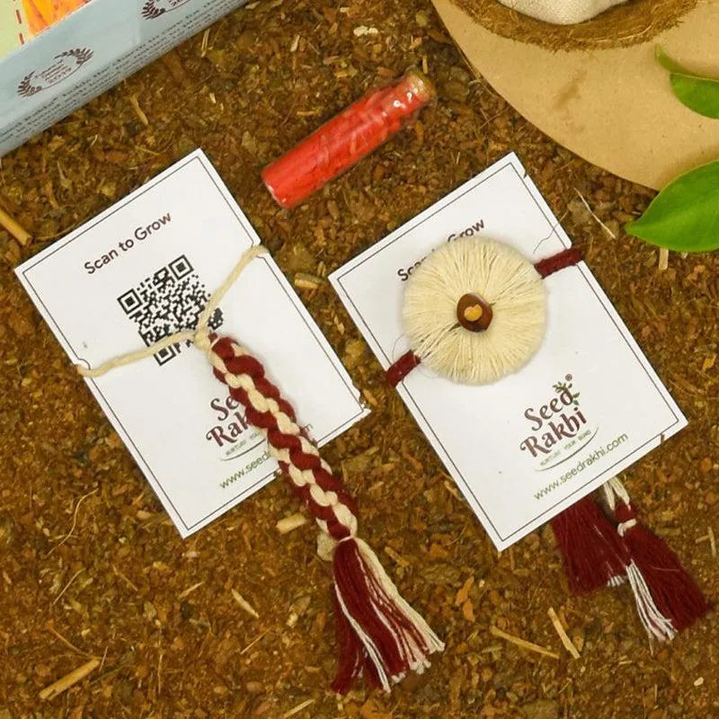 Apoorva Rakshabandhan Seed Rakhi Gift Box media 3
