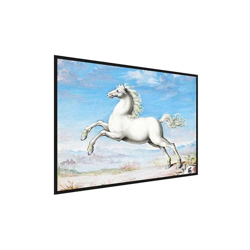 White Horse Canvas Painting By Joris Hoefnagel - Black Frame media 3